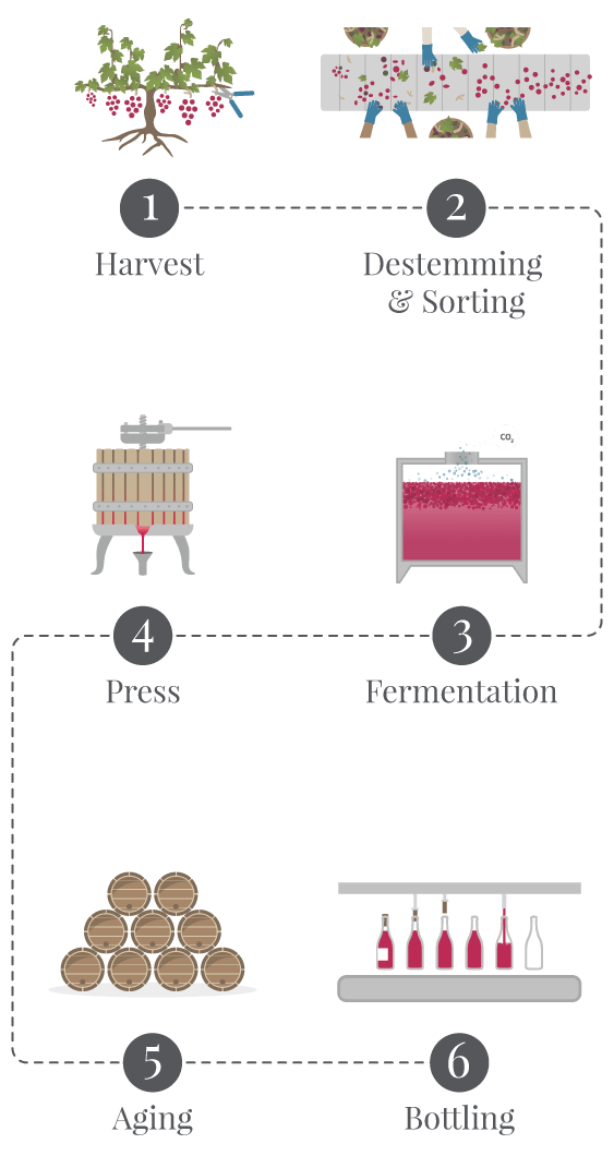 How Wine is Made Ste. Michelle Wine Estates Wine Companion