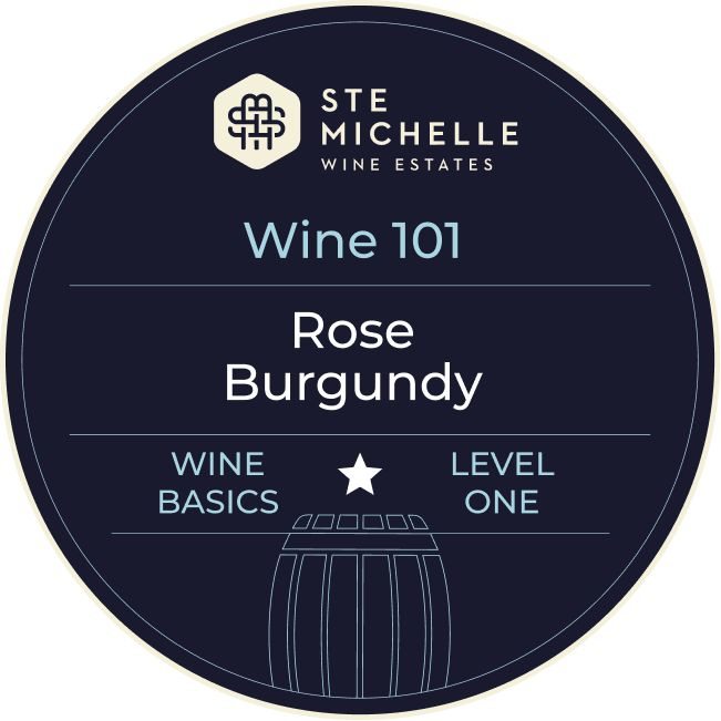 Wine 101 Wine Basics badge — Chapter 1, Level One